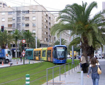 Santa Cruz de Tenerife: Straßenbahn in subtropischer Umgebung