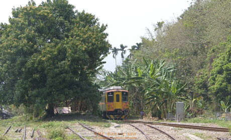 Tropische Vegetation beim Bahnhof Shueili an der Nebenbahn von Ershui